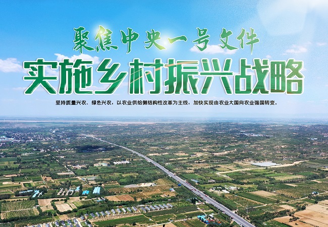 【中央一號(hào)文件】中央一號(hào)文件智慧農(nóng)業(yè)相關(guān)信息解讀！
