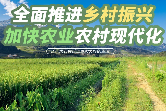 政策解讀：2023年，鄉村振興重點扶持這28個項目！
